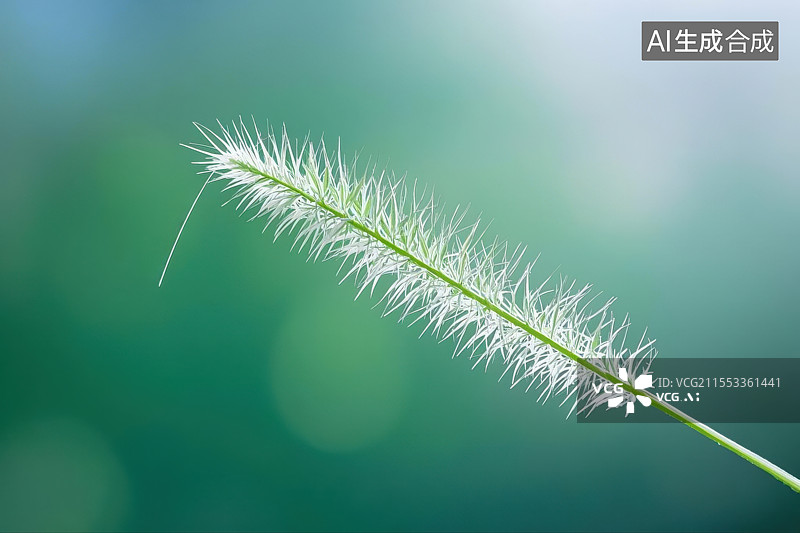 【AI数字艺术】阳光下摇曳的狗尾巴草图片素材