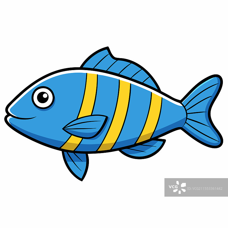 单独的鲷鱼在白色背景上平放图片素材