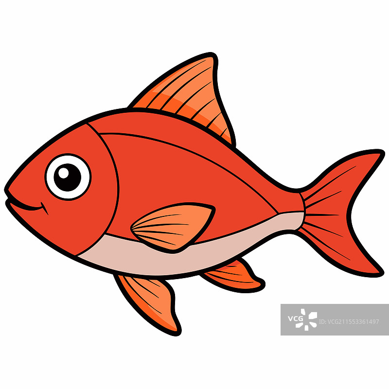 单独放置在白色背景上的鲷鱼图片素材