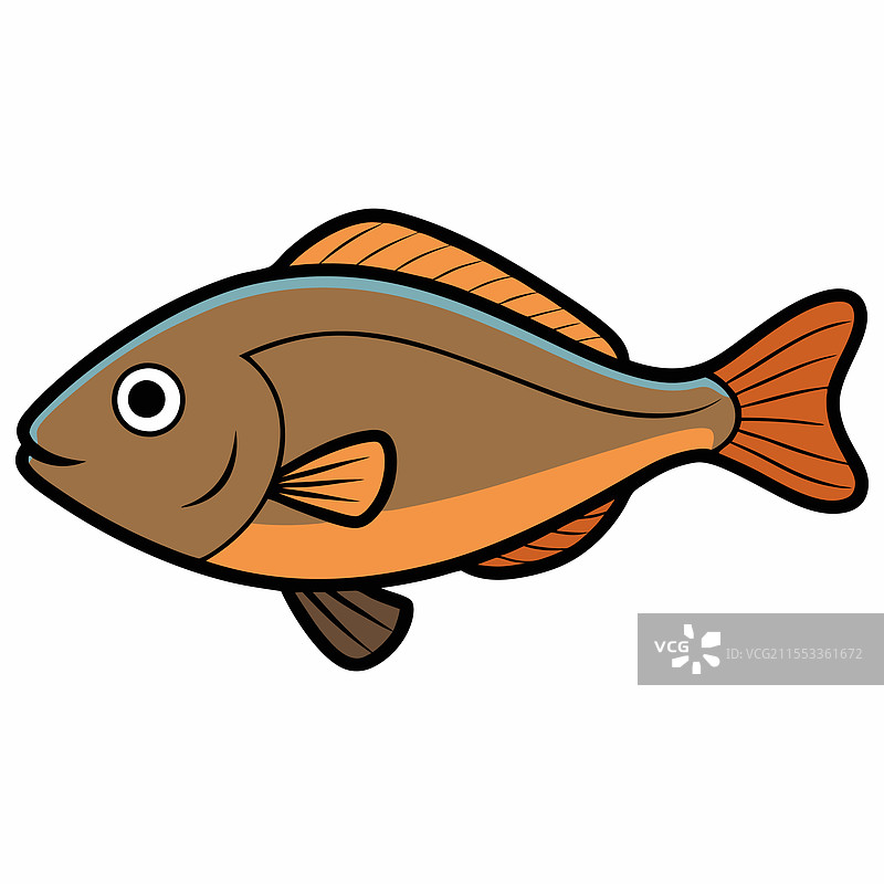 孤独的比目鱼在白色背景上孤立展示图片素材