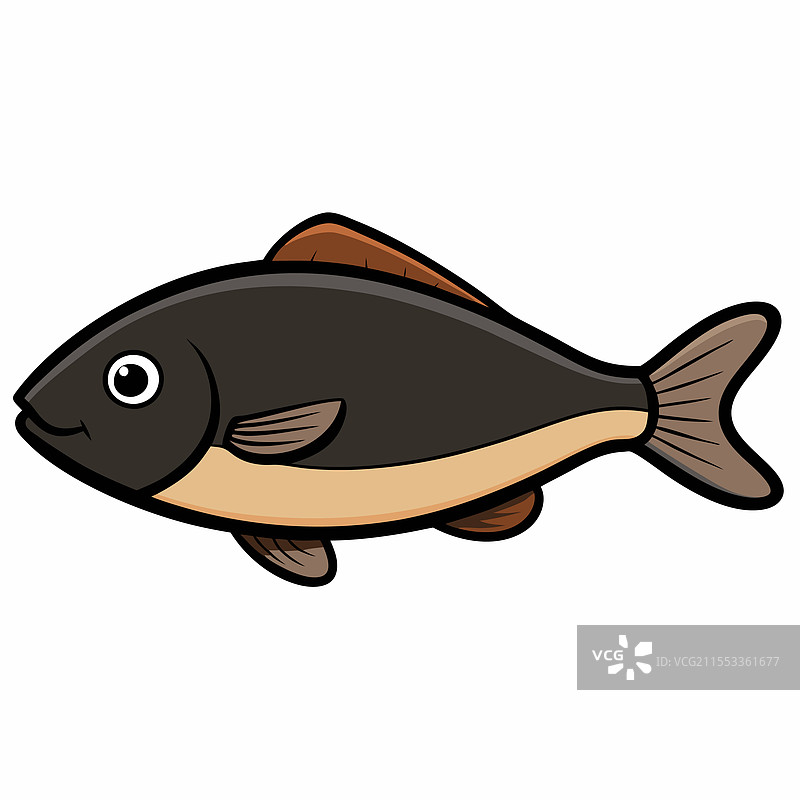 孤独的鱼在白色背景上平放图片素材