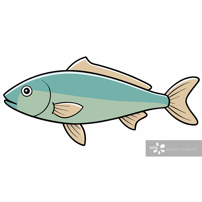 孤独的比目鱼在白色背景上孤立展示图片素材