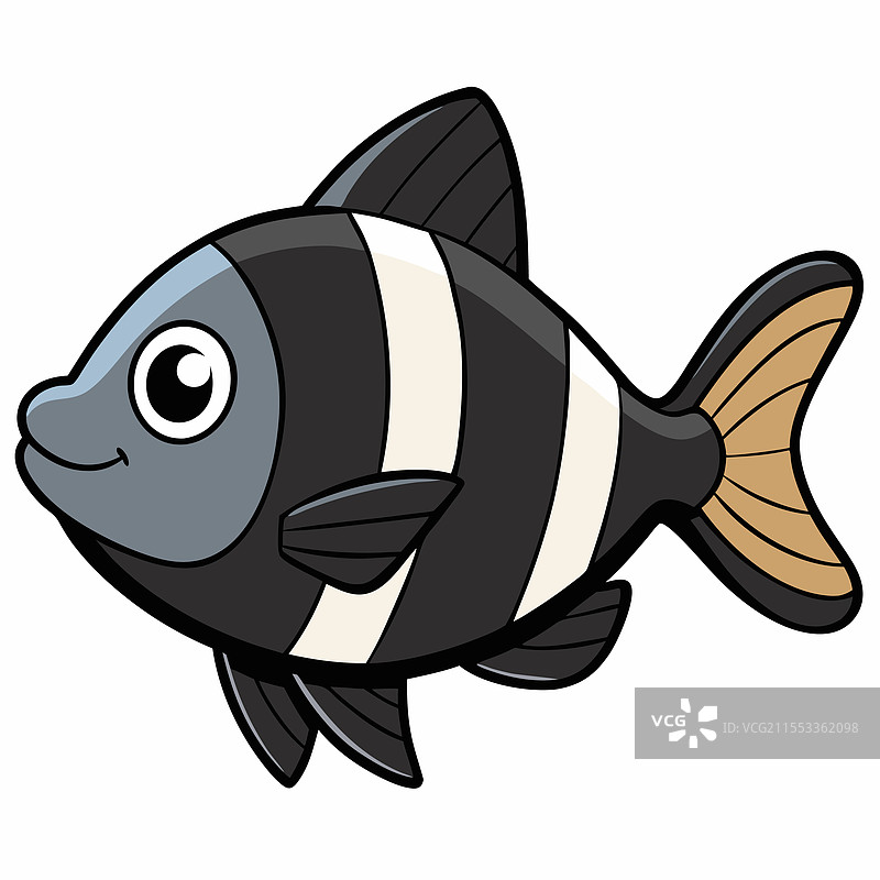 孤立的日光鱼，平放在白色背景上图片素材