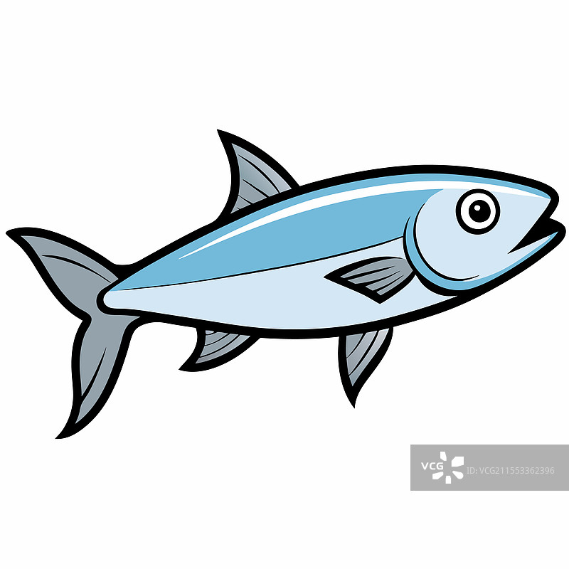 孤立的鲹鱼，平放在白色背景上图片素材