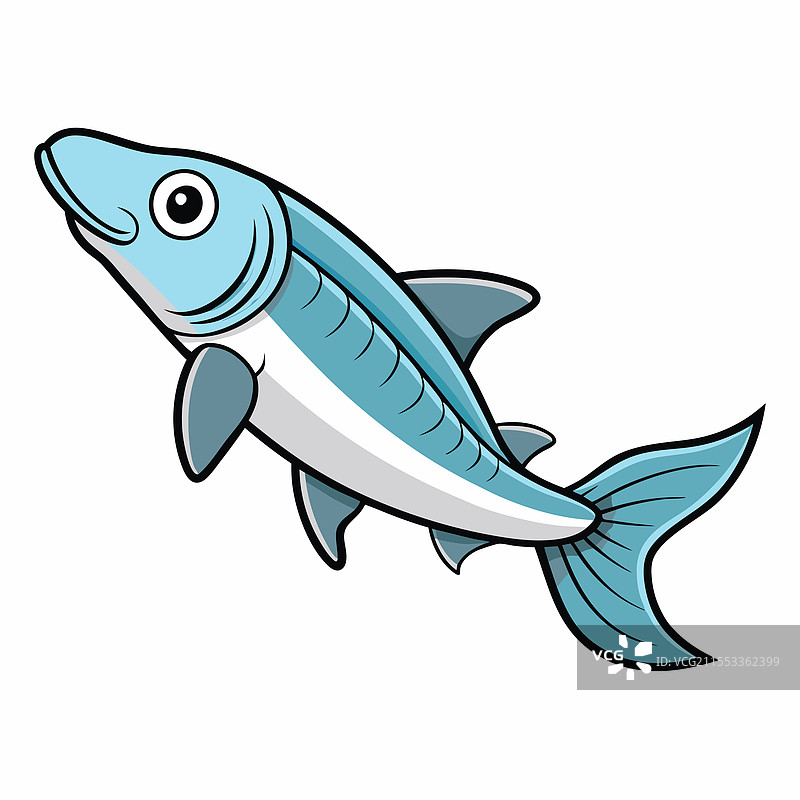 孤立的塔彭鱼，平放在白色背景上图片素材