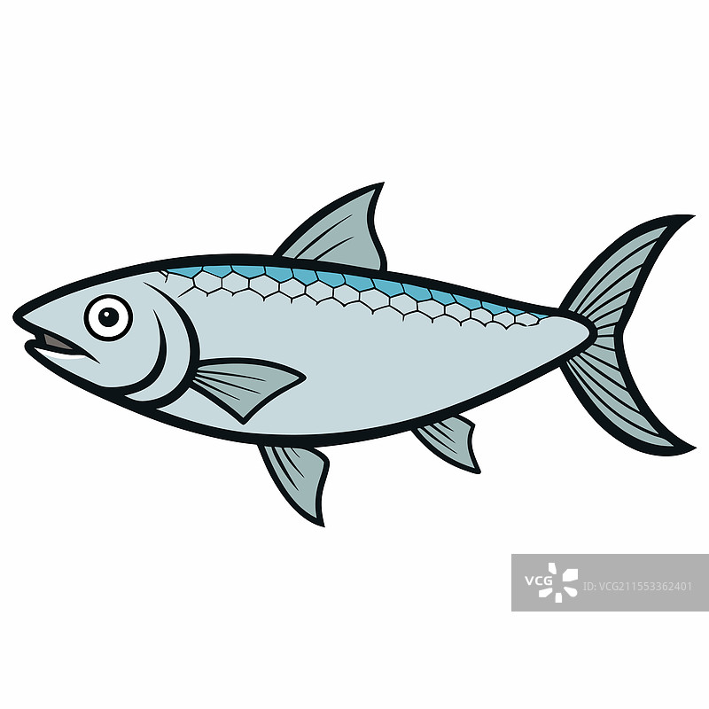 孤立的鲹鱼，平放在白色背景上图片素材