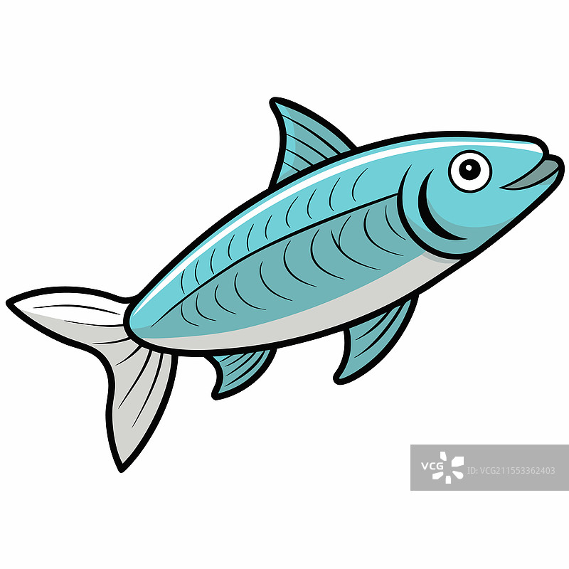 孤立的鲹鱼，平放在白色背景上图片素材