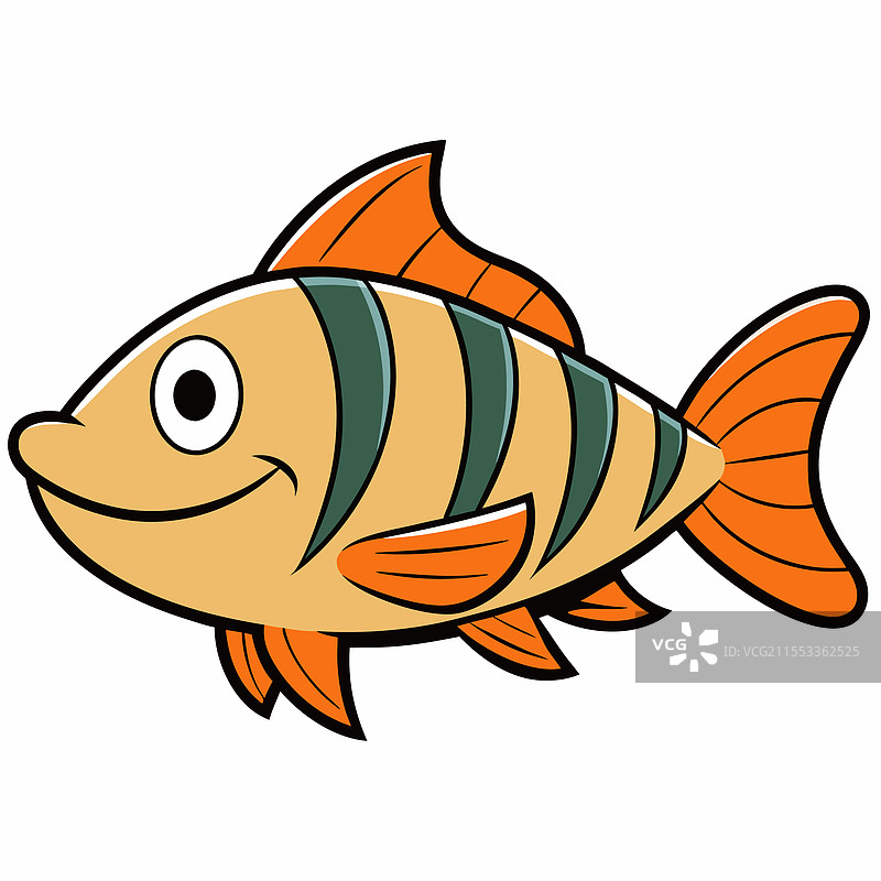 孤立的虎鱼，平放在白色背景上图片素材