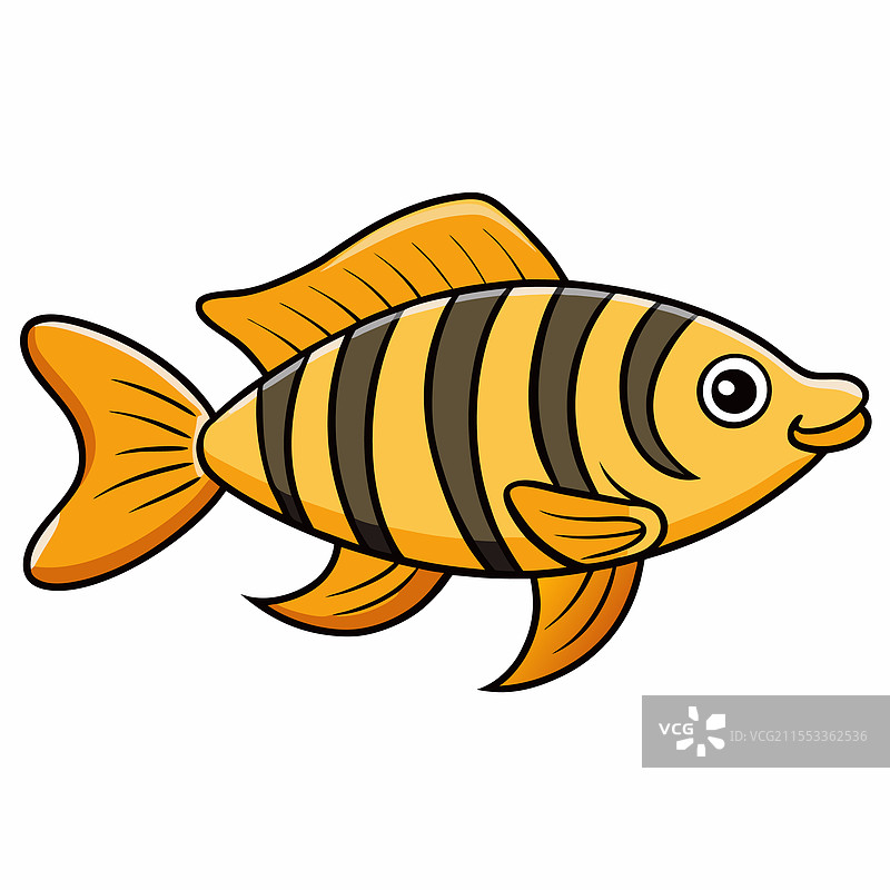 孤立的虎鱼，平放在白色背景上图片素材