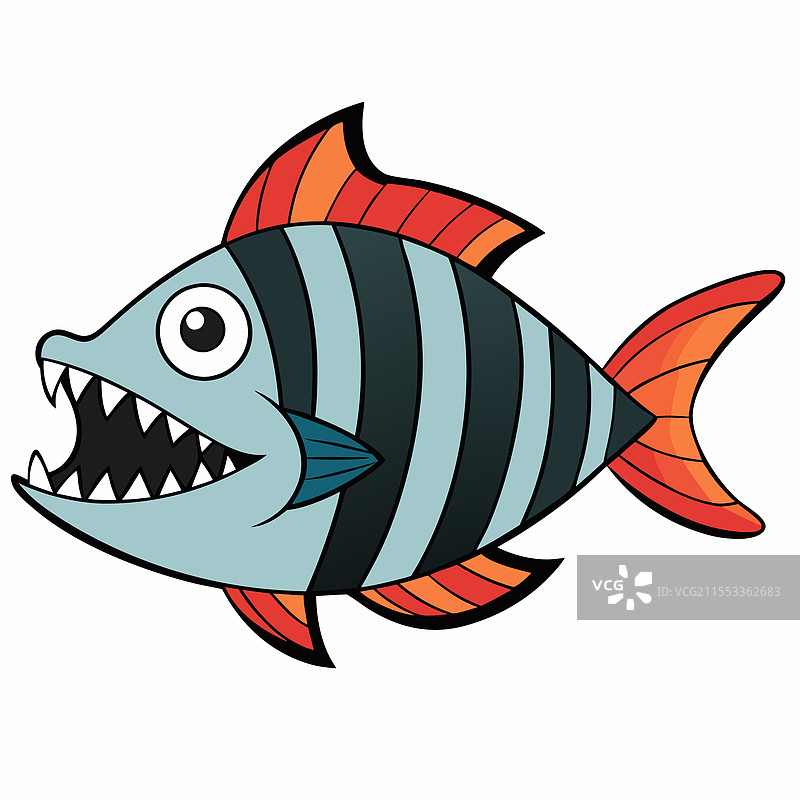 孤立在白色背景上的虎鱼图片素材