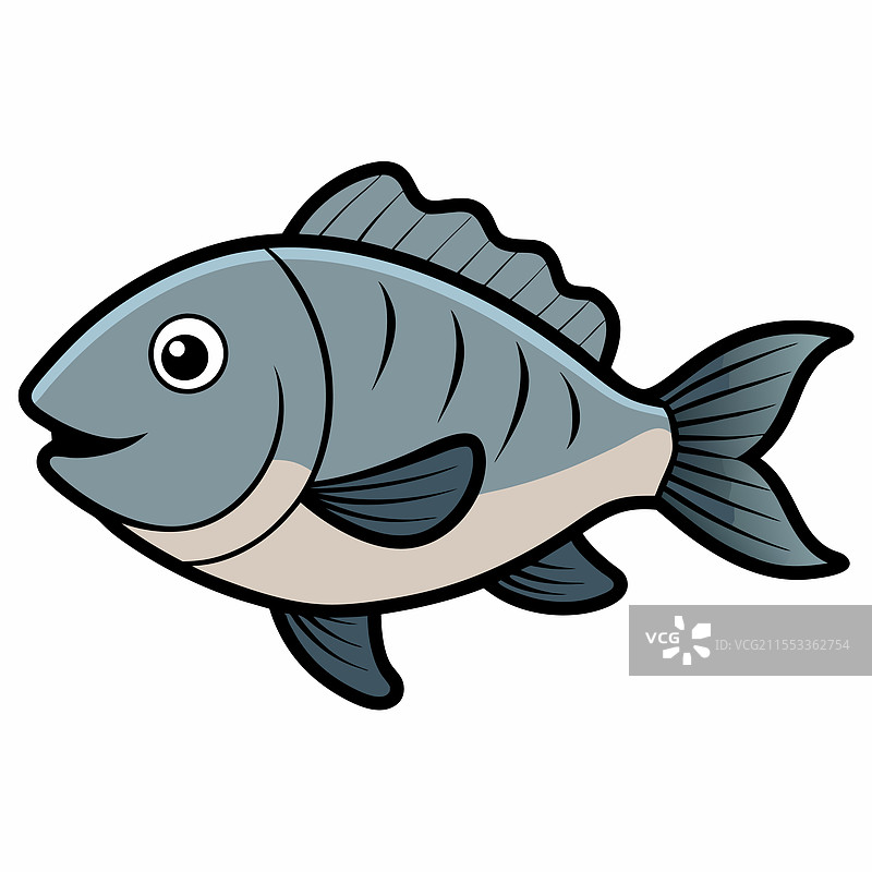 孤立的非洲鲫鱼平放在白色背景上图片素材