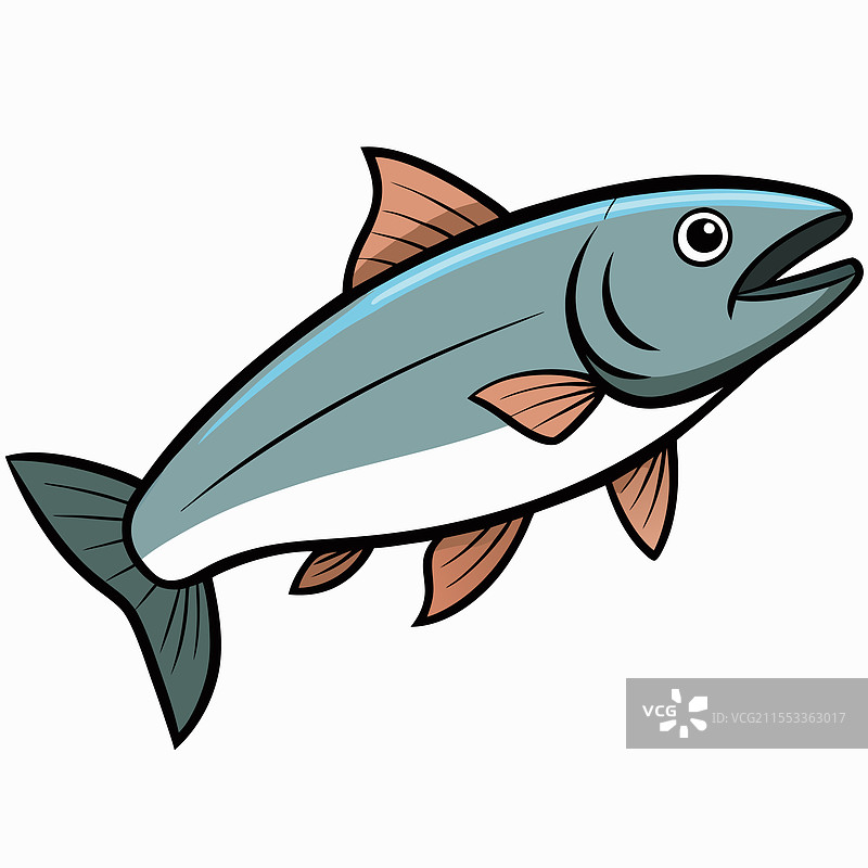 鲑鱼鱼类在白色背景上平铺展示图片素材