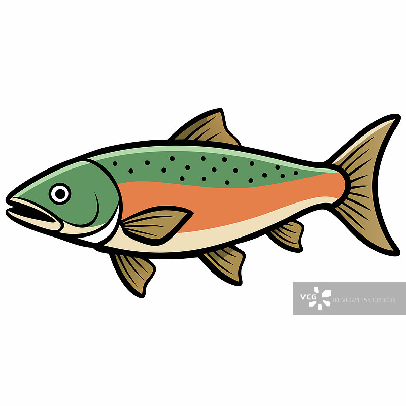 鲑鱼鱼类在白色背景上平铺展示图片素材