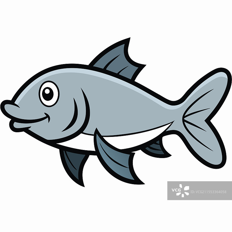 孤立的狼鱼，平放在白色背景上图片素材