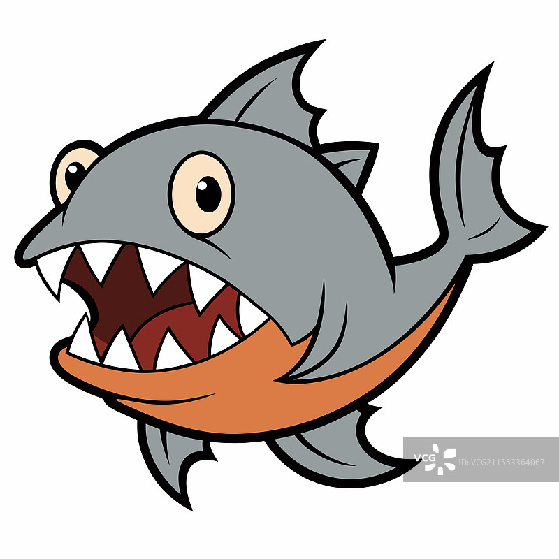 孤立的狼鱼，平放在白色背景上图片素材