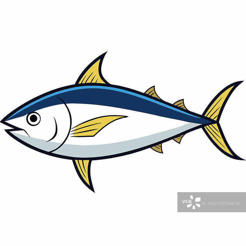 黄色尾鱼在白色背景上平放孤立展示图片素材