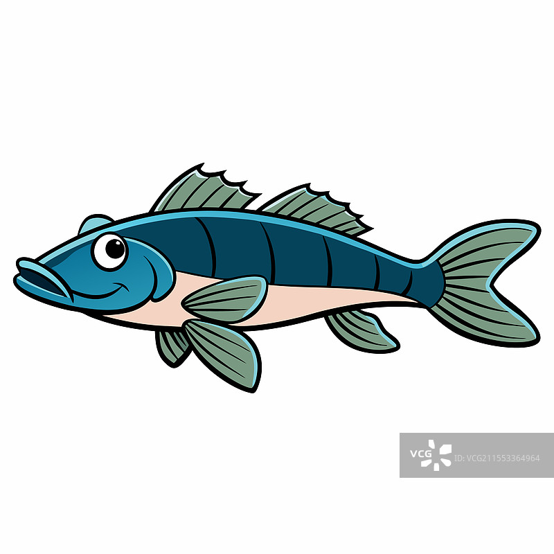 孤立在白色背景上的鲈鱼图片素材