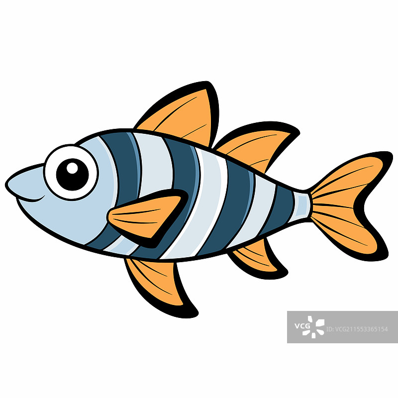 斑马丹尼鱼在白色背景上孤立展示图片素材