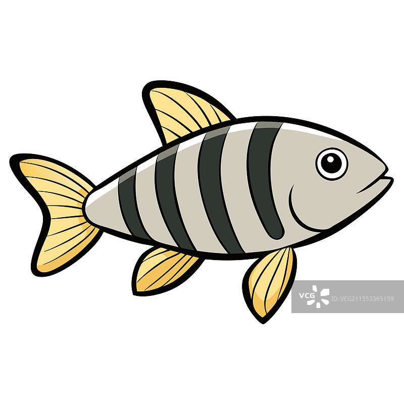 斑马丹尼奥鱼在白色背景上孤立展示图片素材