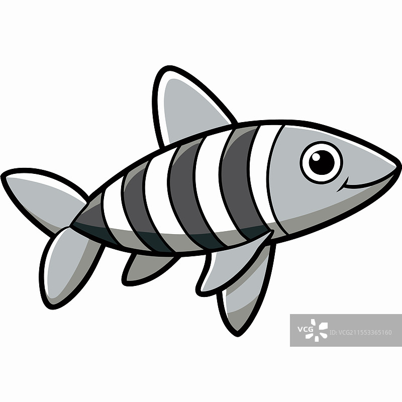 斑马丹尼鱼在白色背景上孤立展示图片素材