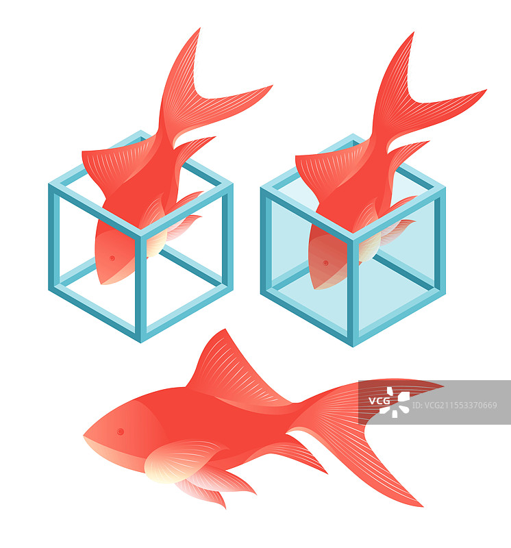 方形立体容器与红色鱼的组合插画设计图片素材
