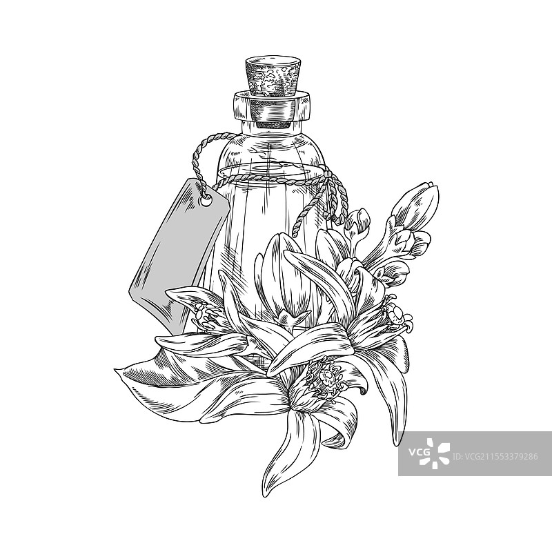 以单色瓶为特色图片素材