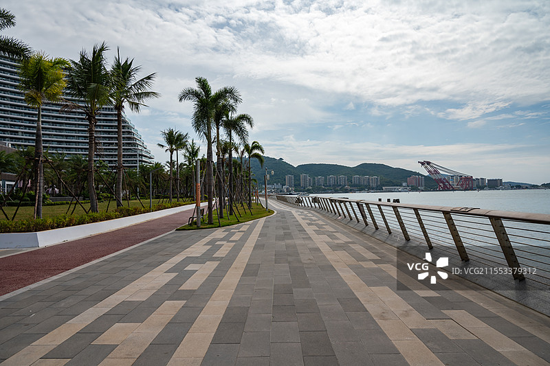 三亚湾凤凰岛桥头公园棕榈树，中国海南省三亚市图片素材