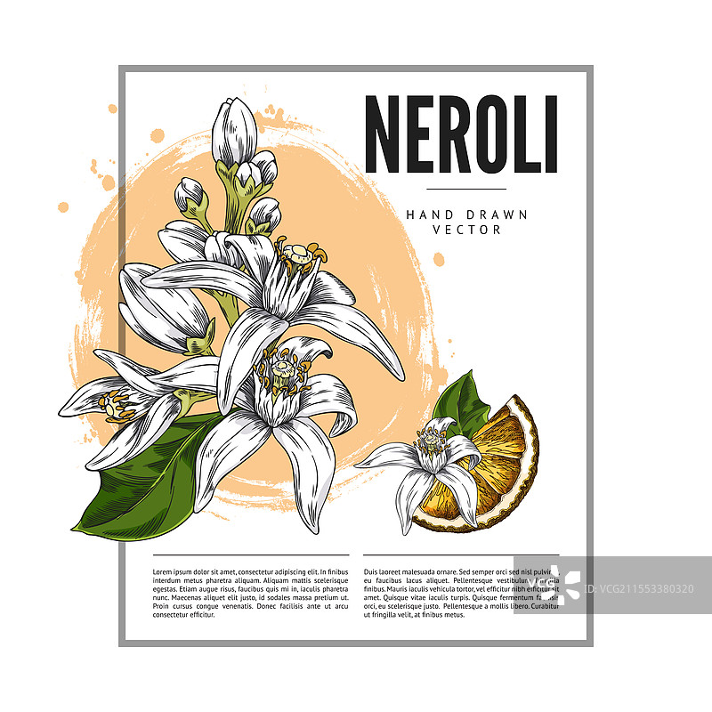 白色花朵粘在树枝上的海报图片素材