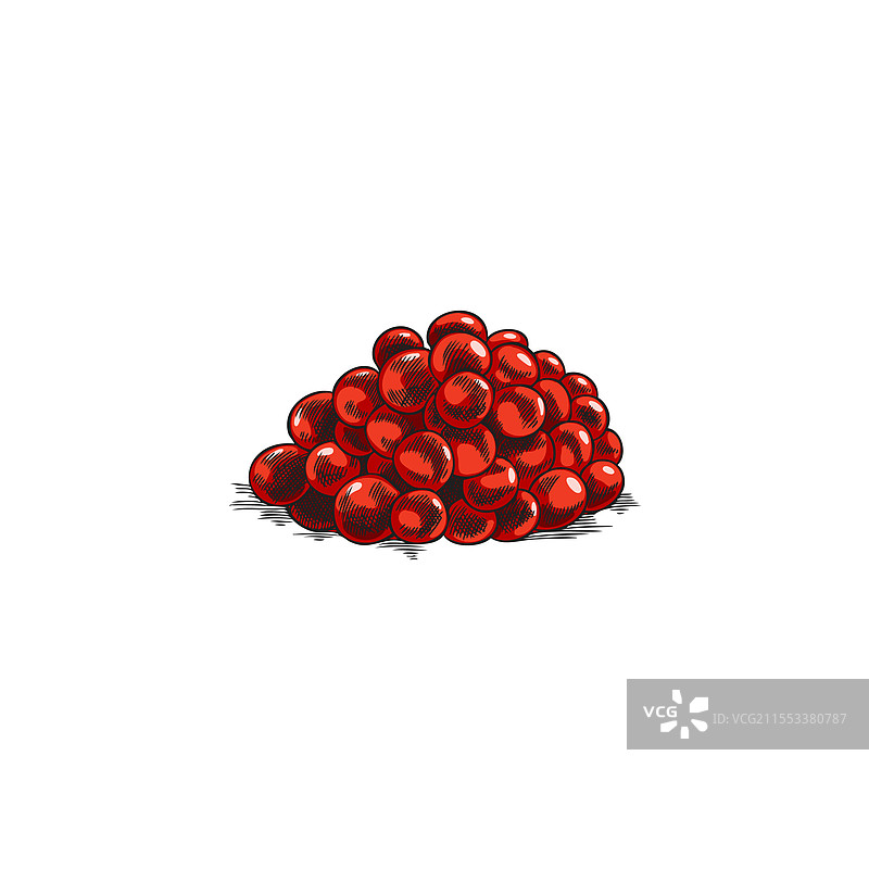 手绘红鱼子酱堆积的海鲜图片素材