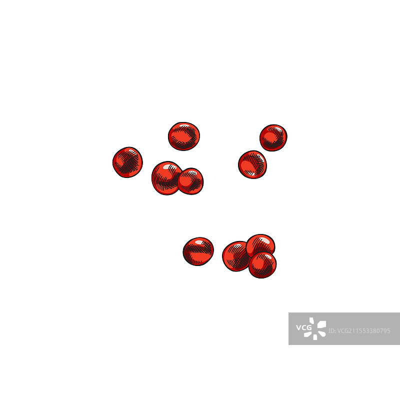 手绘的红鱼子酱图片素材