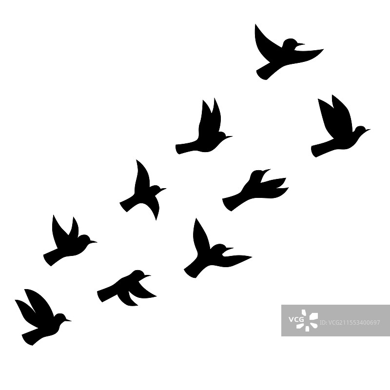 飞翔的鸟类剪影图片素材