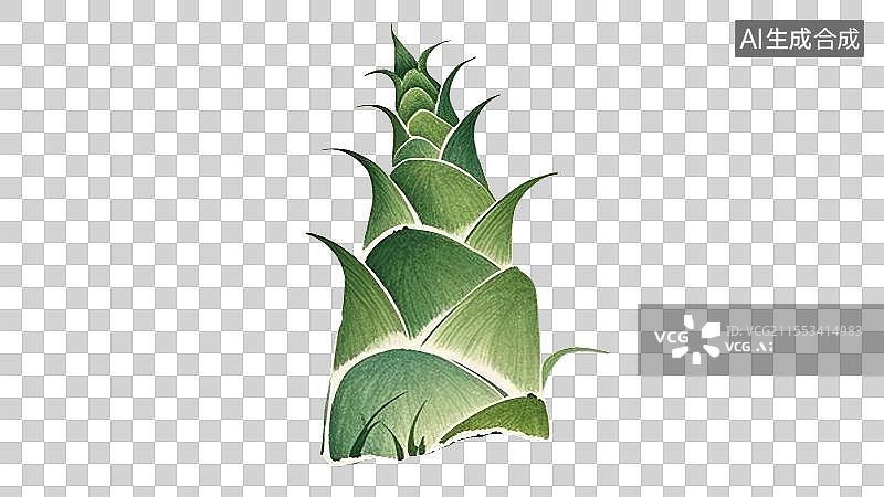 【AI数字艺术】竹笋手绘插画图片素材