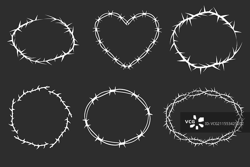 带刺的藤本植物茎，简单边框图片素材