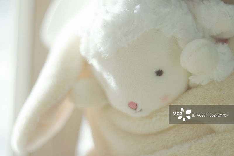 绵羊毛绒玩偶图片素材