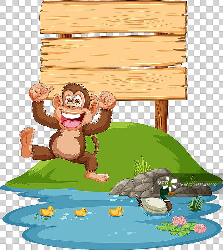 快乐的猴子坐在池塘边，旁边有鸭子。图片素材