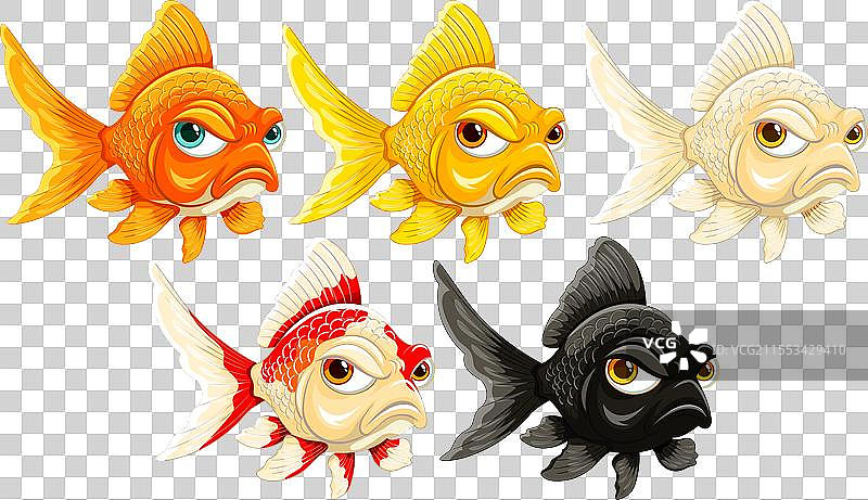 各种面部表情的五彩金鱼图片素材