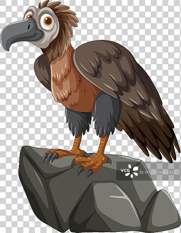 卡通秃鹫站在石头上观察图片素材