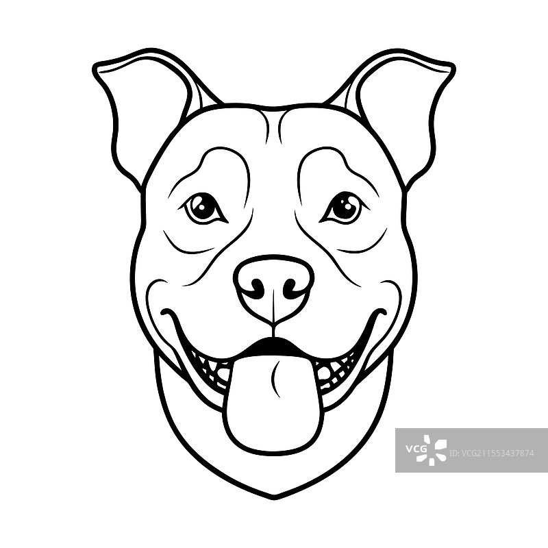 斯塔福德郡斗牛犬的脸部特写图片素材