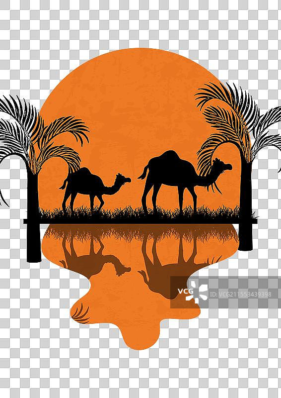 夜间撒哈拉沙漠与满月极简海报图片素材