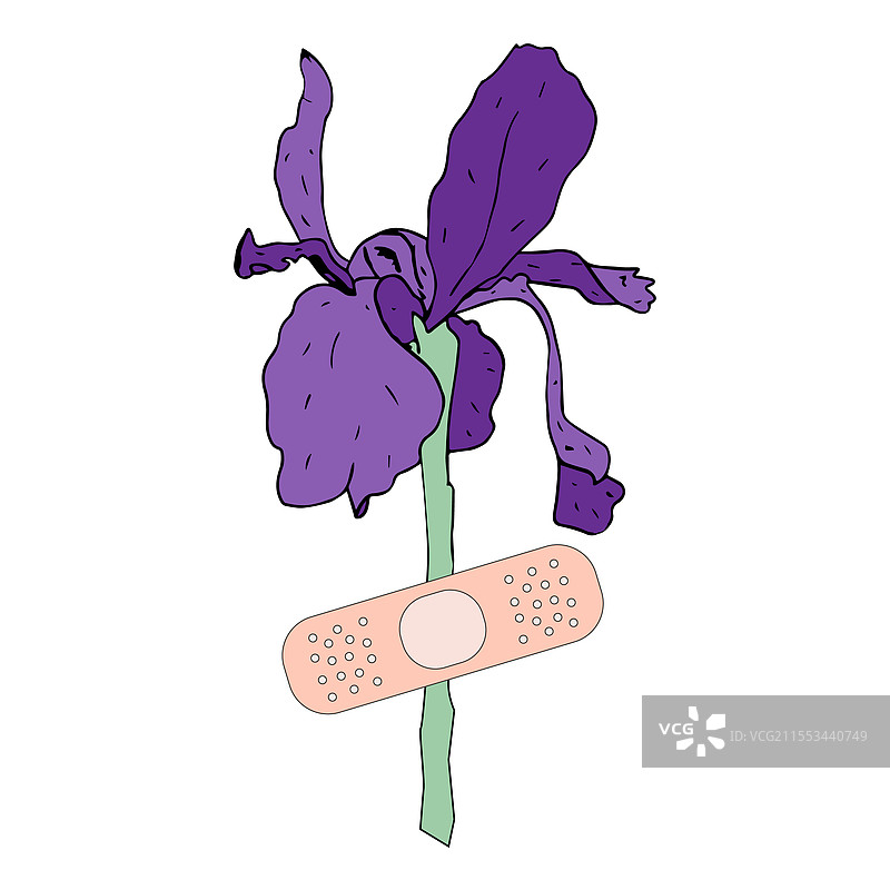 创可贴下的鸢尾花图片素材