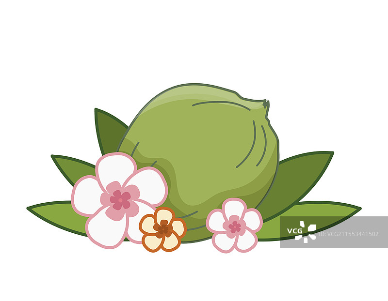 清新的热带绿色椰子与躺着的姿势图片素材