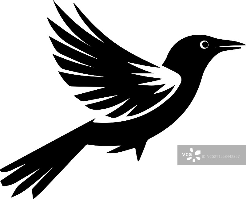 动态的普通黑鸫剪影图片素材