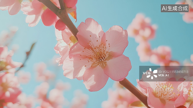 【AI数字艺术】春日里的桃花图片素材