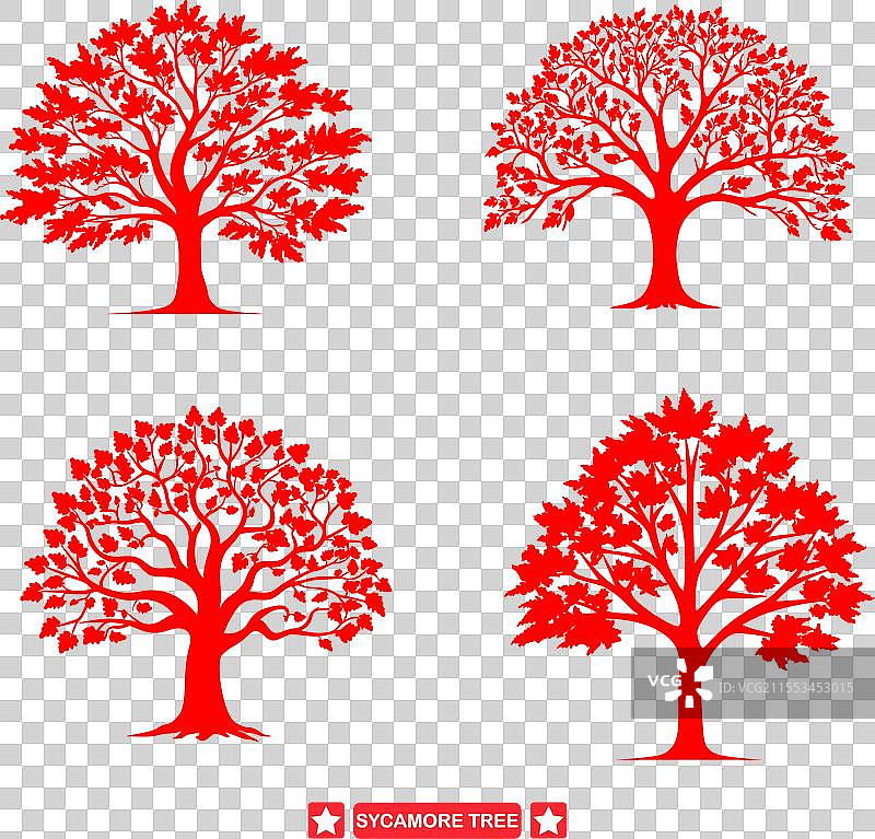 宁静的悬铃木风景迷人的剪影图片素材