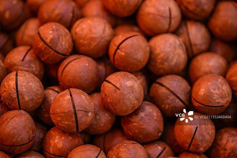 四川省绵阳市货摊上售卖的各种中药材，香料，配料，瓜子，花生，核桃，枸杞，中草药图片素材