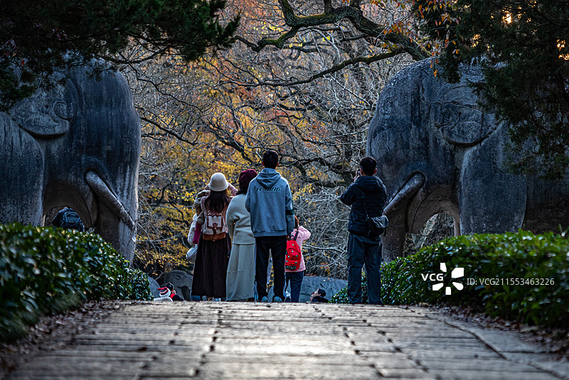 秋天清晨日出中的南京明孝陵石象路神道秋色光影风光与游客剪影图图片素材