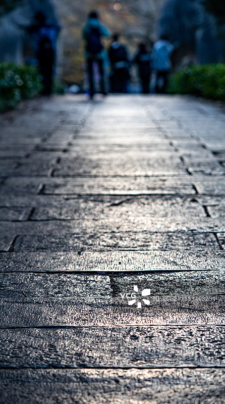 秋天清晨日出中的南京明孝陵石象路神道秋色光影风光与游客剪影图图片素材