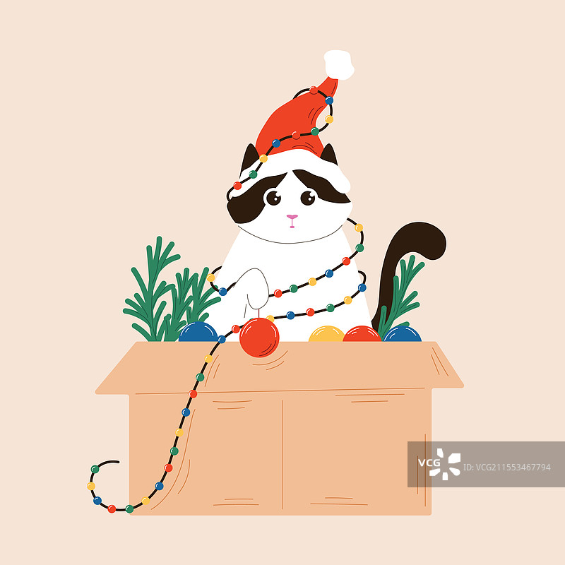 穿着圣诞帽的黑白猫坐在一个盒子里图片素材