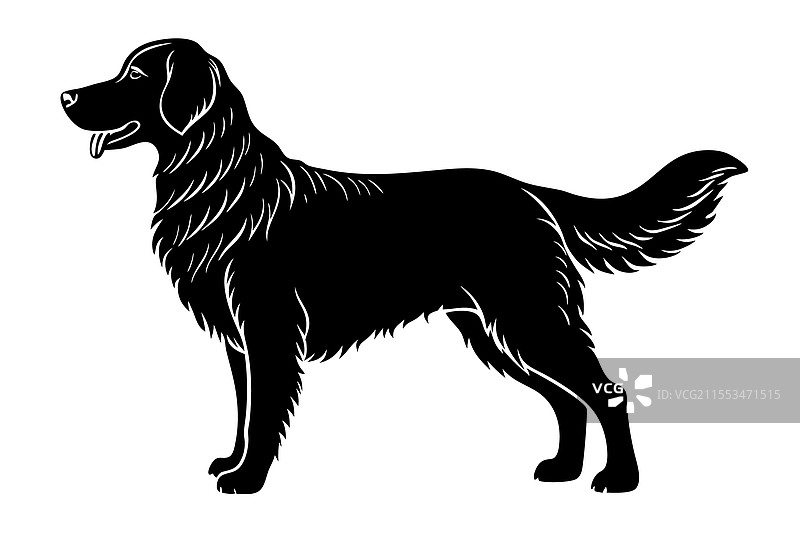 金色猎犬狗的剪影艺术图片素材