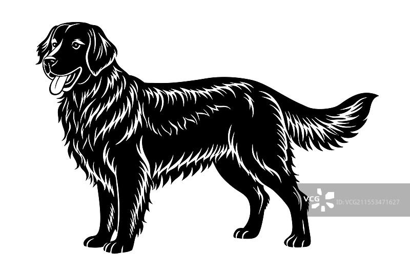 金色猎犬狗的剪影艺术图片素材